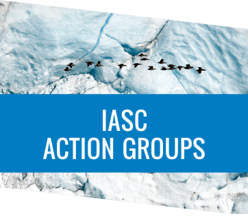 IASC Action Groups