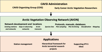 CAVSi3